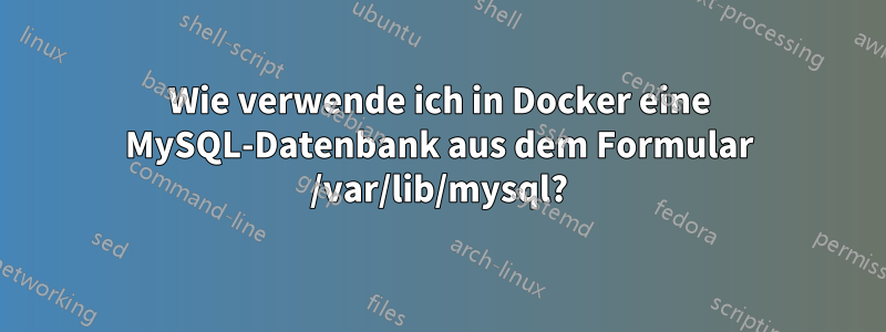 Wie verwende ich in Docker eine MySQL-Datenbank aus dem Formular /var/lib/mysql?