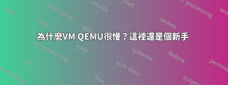 為什麼VM QEMU很慢？這裡還是個新手