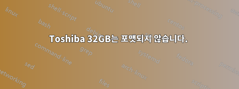 Toshiba 32GB는 포맷되지 않습니다.