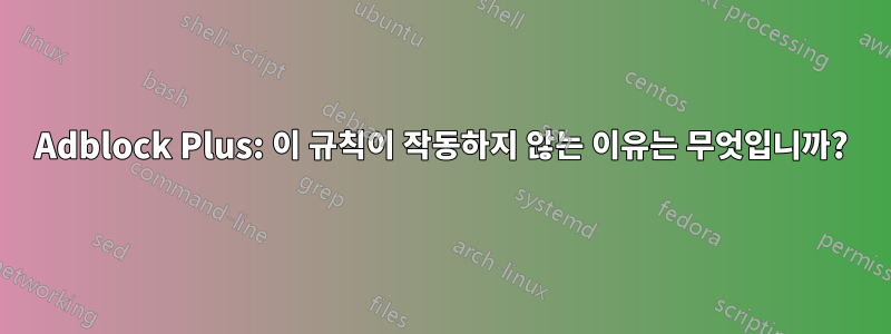 Adblock Plus: 이 규칙이 작동하지 않는 이유는 무엇입니까?