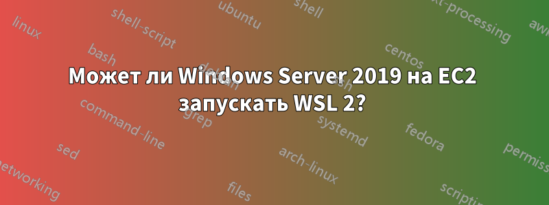 Может ли Windows Server 2019 на EC2 запускать WSL 2?