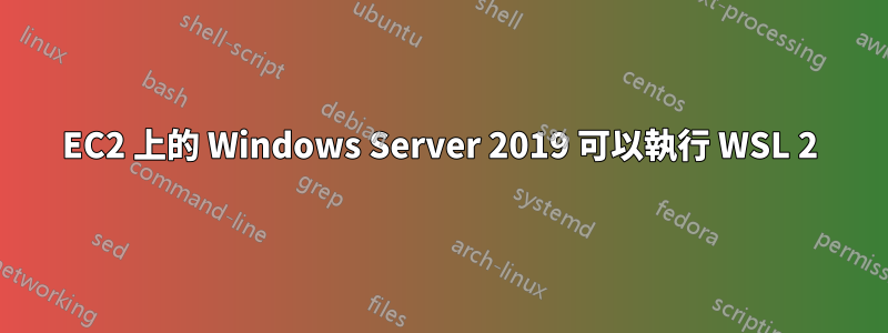 EC2 上的 Windows Server 2019 可以執行 WSL 2