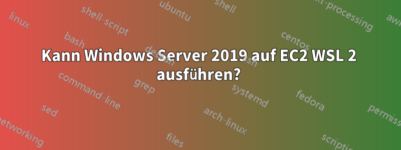 Kann Windows Server 2019 auf EC2 WSL 2 ausführen?