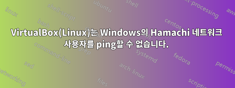 VirtualBox(Linux)는 Windows의 Hamachi 네트워크 사용자를 ping할 수 없습니다.