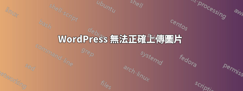 WordPress 無法正確上傳圖片