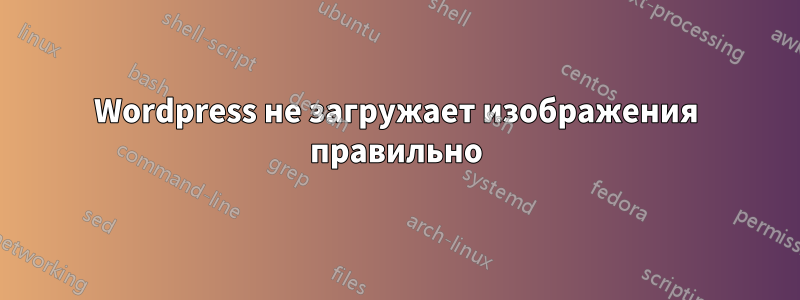 Wordpress не загружает изображения правильно