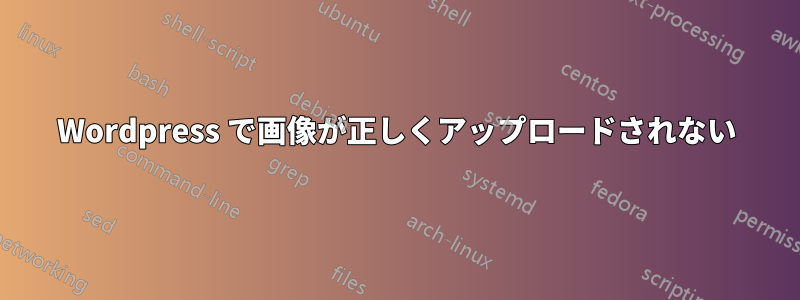 Wordpress で画像が正しくアップロードされない