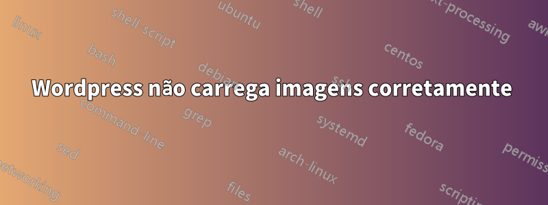 Wordpress não carrega imagens corretamente