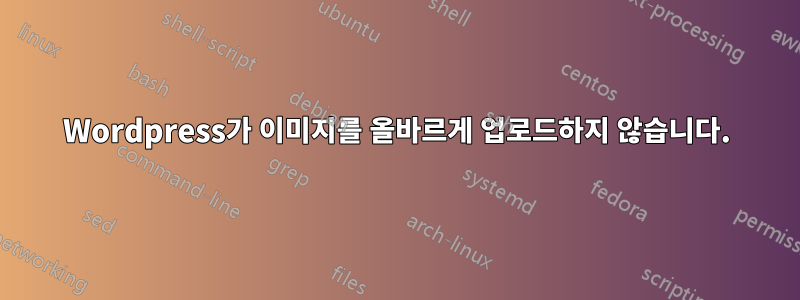 Wordpress가 이미지를 올바르게 업로드하지 않습니다.