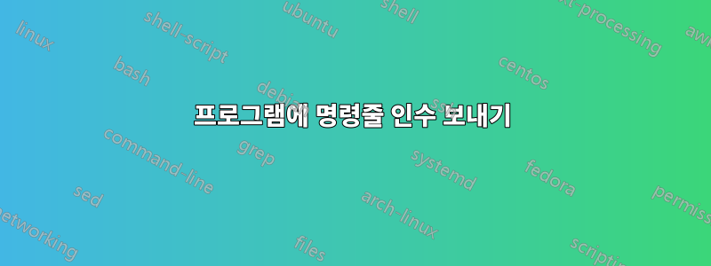 프로그램에 명령줄 인수 보내기