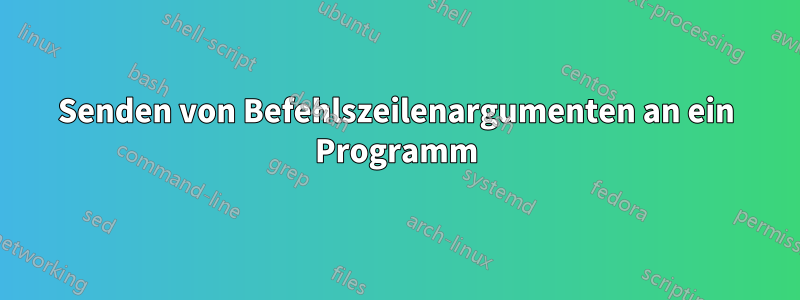 Senden von Befehlszeilenargumenten an ein Programm