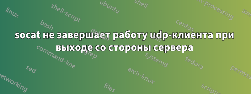 socat не завершает работу udp-клиента при выходе со стороны сервера