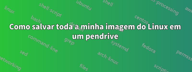 Como salvar toda a minha imagem do Linux em um pendrive