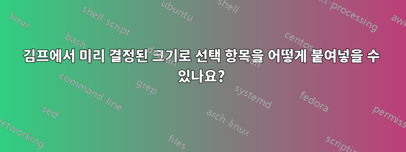 김프에서 미리 결정된 크기로 선택 항목을 어떻게 붙여넣을 수 있나요?