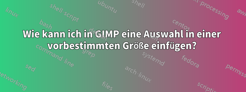 Wie kann ich in GIMP eine Auswahl in einer vorbestimmten Größe einfügen?
