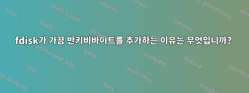 fdisk가 가끔 반키비바이트를 추가하는 이유는 무엇입니까?