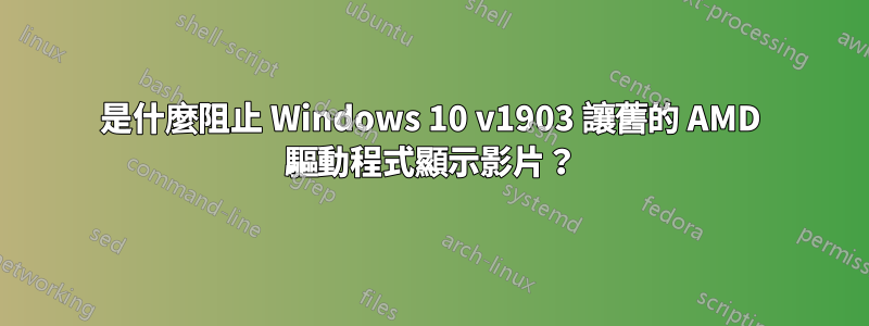 是什麼阻止 Windows 10 v1903 讓舊的 AMD 驅動程式顯示影片？