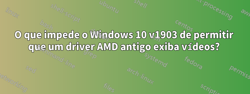 O que impede o Windows 10 v1903 de permitir que um driver AMD antigo exiba vídeos?