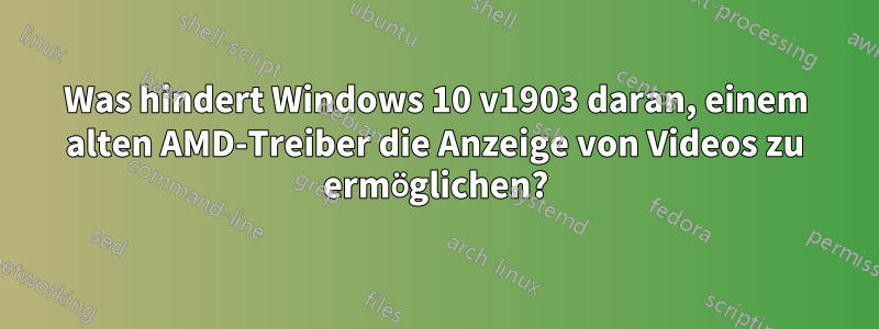 Was hindert Windows 10 v1903 daran, einem alten AMD-Treiber die Anzeige von Videos zu ermöglichen?