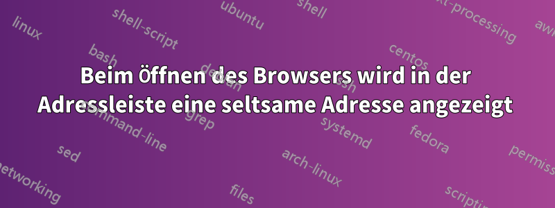 Beim Öffnen des Browsers wird in der Adressleiste eine seltsame Adresse angezeigt