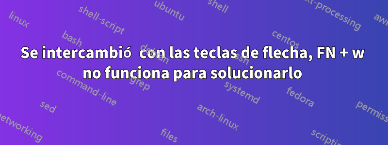 Se intercambió con las teclas de flecha, FN + w no funciona para solucionarlo