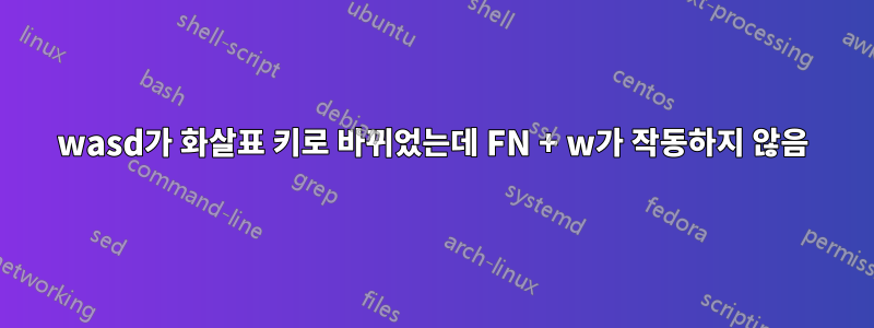 wasd가 화살표 키로 바뀌었는데 FN + w가 작동하지 않음