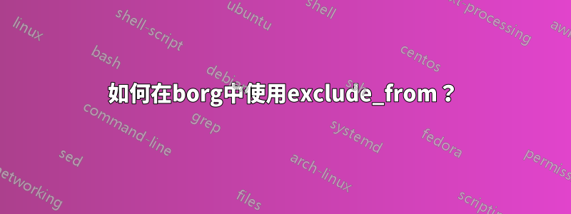 如何在borg中使用exclude_from？