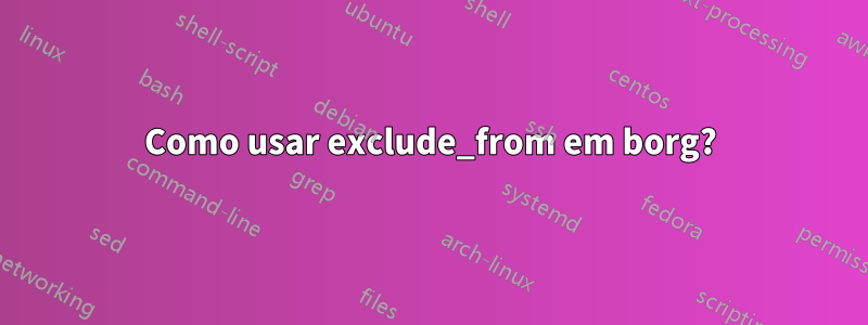 Como usar exclude_from em borg?