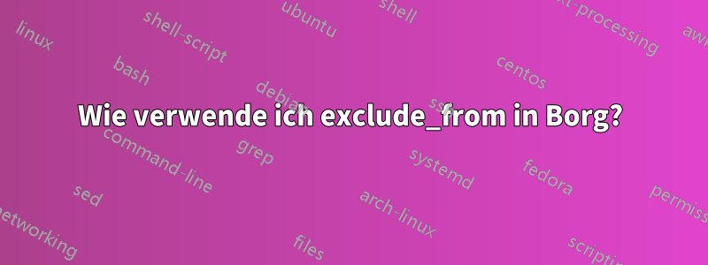 Wie verwende ich exclude_from in Borg?