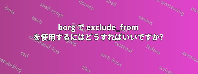 borg で exclude_from を使用するにはどうすればいいですか?