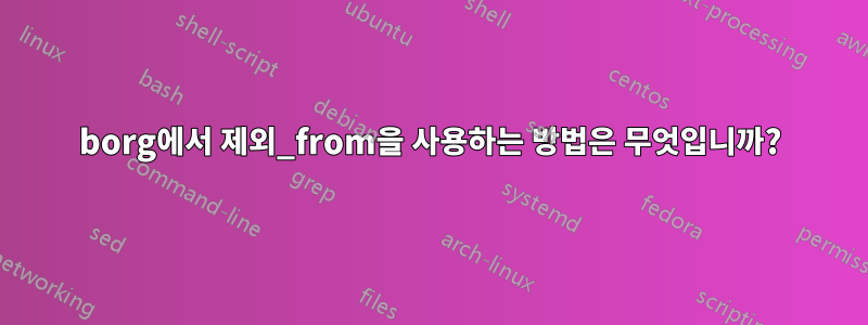 borg에서 제외_from을 사용하는 방법은 무엇입니까?