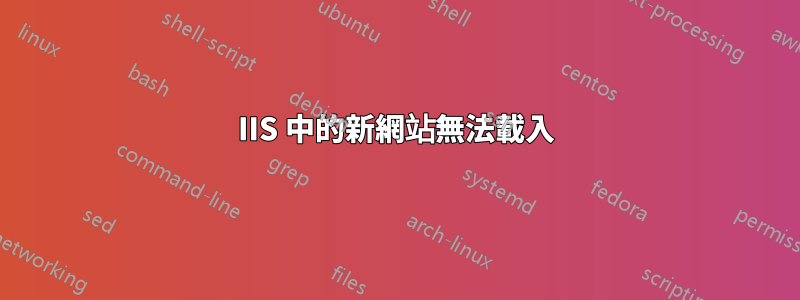 IIS 中的新網站無法載入