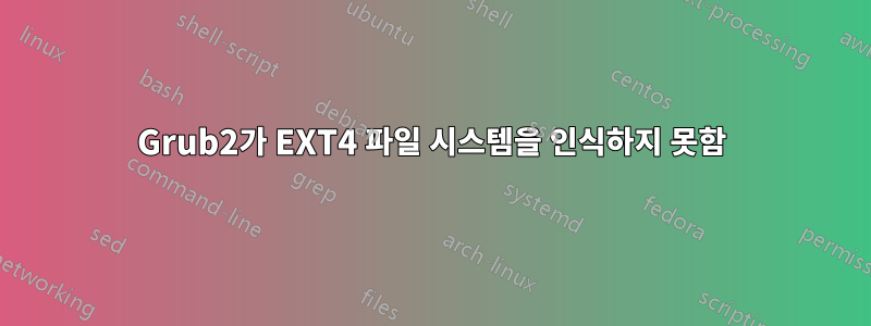 Grub2가 EXT4 파일 시스템을 인식하지 못함