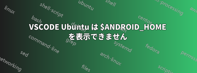 VSCODE Ubuntu は $ANDROID_HOME を表示できません