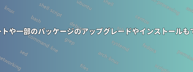 アップデートや一部のパッケージのアップグレードやインストールもできません