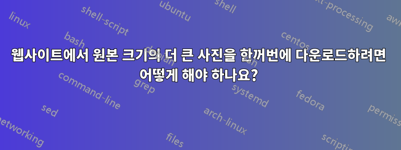 웹사이트에서 원본 크기의 더 큰 사진을 한꺼번에 다운로드하려면 어떻게 해야 하나요?