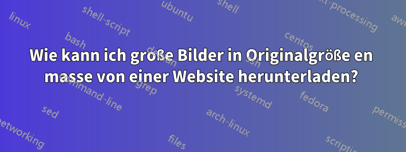 Wie kann ich große Bilder in Originalgröße en masse von einer Website herunterladen?