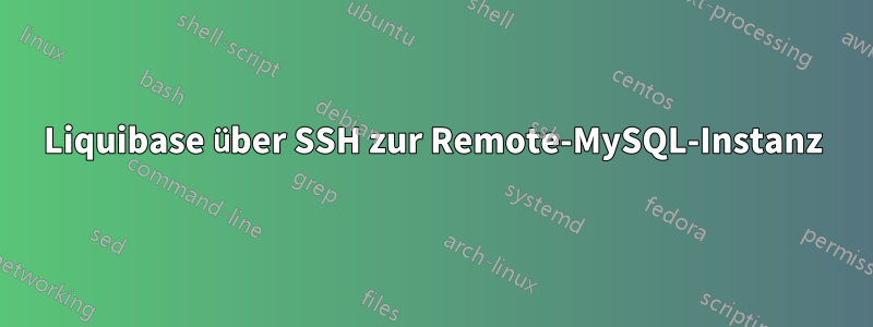 Liquibase über SSH zur Remote-MySQL-Instanz