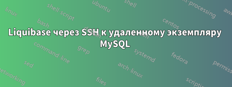 Liquibase через SSH к удаленному экземпляру MySQL