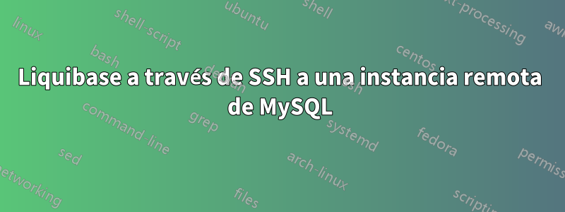 Liquibase a través de SSH a una instancia remota de MySQL