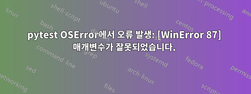 pytest OSError에서 오류 발생: [WinError 87] 매개변수가 잘못되었습니다.