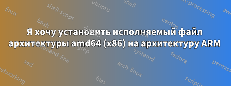 Я хочу установить исполняемый файл архитектуры amd64 (x86) на архитектуру ARM