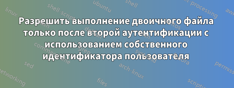 Разрешить выполнение двоичного файла только после второй аутентификации с использованием собственного идентификатора пользователя