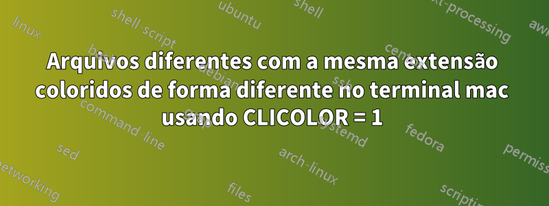 Arquivos diferentes com a mesma extensão coloridos de forma diferente no terminal mac usando CLICOLOR = 1