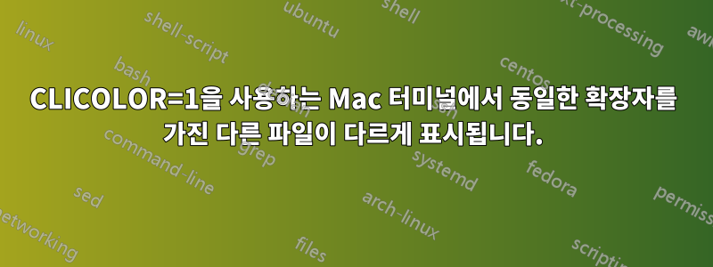 CLICOLOR=1을 사용하는 Mac 터미널에서 동일한 확장자를 가진 다른 파일이 다르게 표시됩니다.