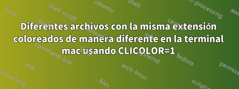 Diferentes archivos con la misma extensión coloreados de manera diferente en la terminal mac usando CLICOLOR=1