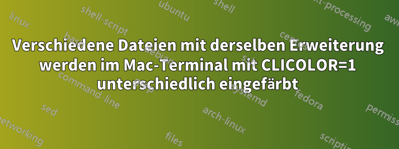 Verschiedene Dateien mit derselben Erweiterung werden im Mac-Terminal mit CLICOLOR=1 unterschiedlich eingefärbt