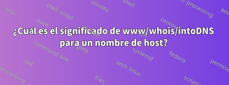 ¿Cuál es el significado de www/whois/intoDNS para un nombre de host?