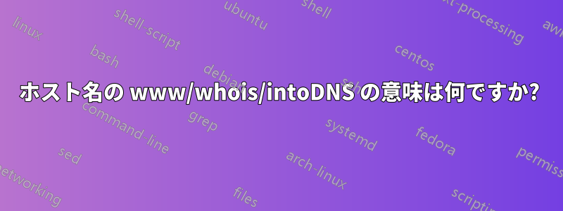 ホスト名の www/whois/intoDNS の意味は何ですか?