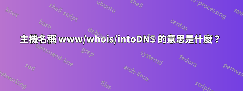 主機名稱 www/whois/intoDNS 的意思是什麼？